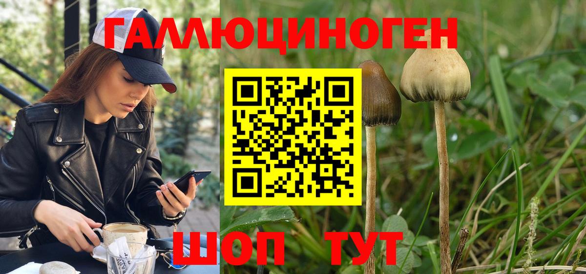 Галлюциногенные грибы прущие грибы  Вход с VPN  Псилоцибиновые грибы MAGIC MUSHROOMS  Клин 